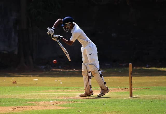 Playing Cricket