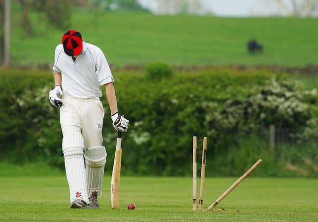 Playing Cricket